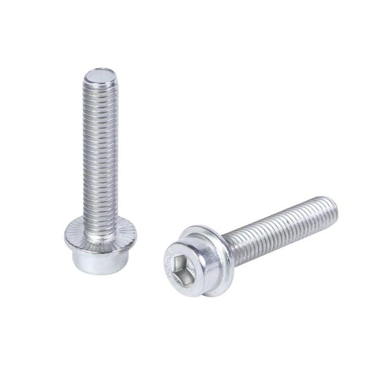 সেরেটেড ফ্ল্যাঞ্জ স্ক্রু সহ DIN251 হেক্সাগন সকেট হেড